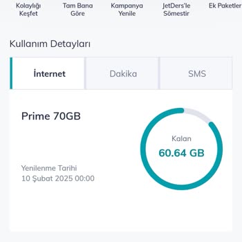 İnternet Kullanımında Anlamsız Azalma