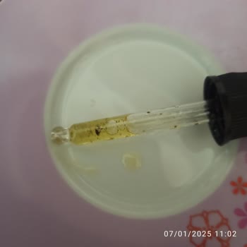 Nature's Supreme İlgisizliği