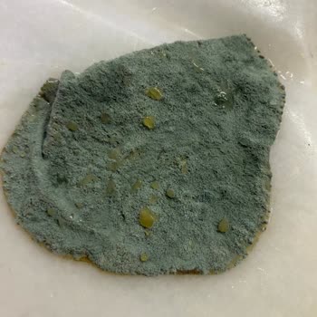 Küflü Ürün Şoku: Çocuklarımızın Sağlığı Tehlikede