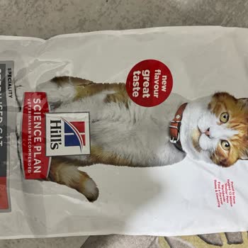 Hill’s Kedi Maması Sağlık Sorunlarına Yol Açıyor!