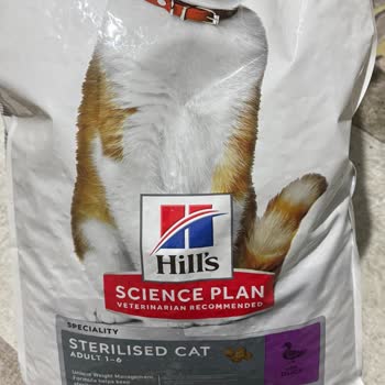 Hill’s Kedi Maması Sağlık Sorunlarına Yol Açıyor!