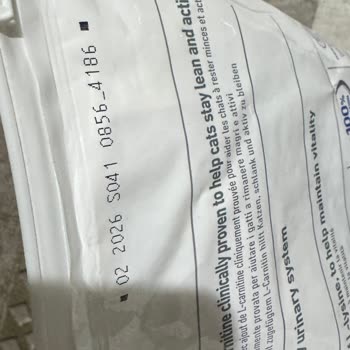 Hill’s Kedi Maması Sağlık Sorunlarına Yol Açıyor!