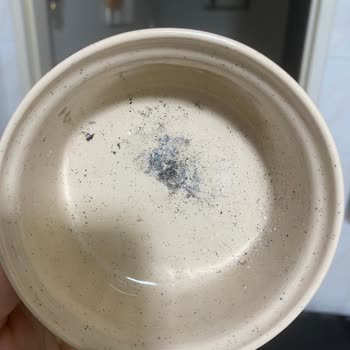 Samsung Bulaşık Makinesi Performans Sorunu