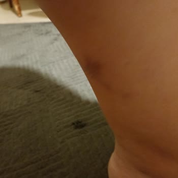 Tehlikeli Tencere Takımı: Taç Easy Connect'in Güvenlik Sorunları