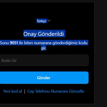Instagram Hesabına Erişim Sorunu Ve Güvenlik Endişesi