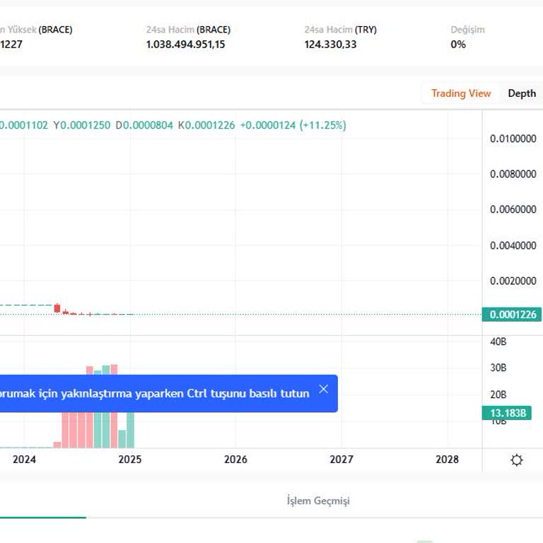 Belirsizlik Ve Mağduriyet: Brace Token Sorunu