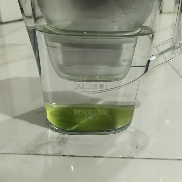 Brita Sürahinin Yosun Sorunu Çözülmüyor