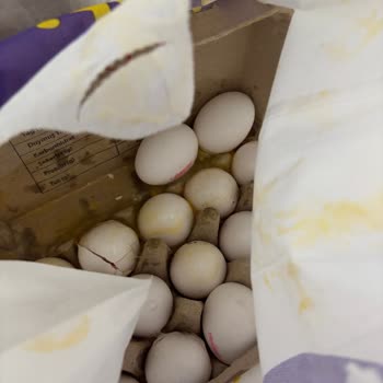 Getir Siparişimde Yaşanan Sorunlar Ve Çözüm Eksikliği