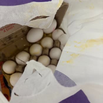 Getir Siparişimde Yaşanan Sorunlar Ve Çözüm Eksikliği