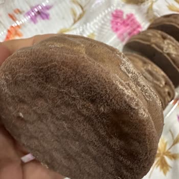 Ülker Halley'in Kalite Düşüşü Ve Hayal Kırıklığı