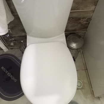 Ece Klozet Kapağı Kendiliğinden Çatladı