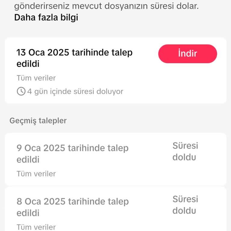 TikTok Hesabı Açılmıyor