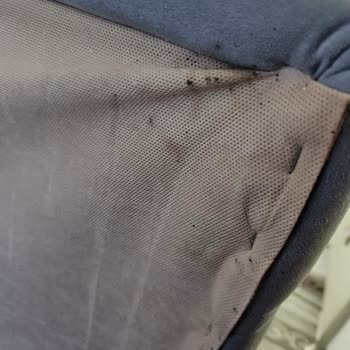 Tahta Kurusu Sorunu İle Mücadele