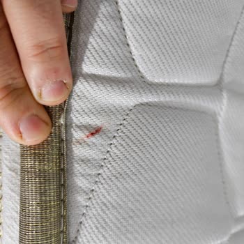 Tahta Kurusu Sorunu İle Mücadele