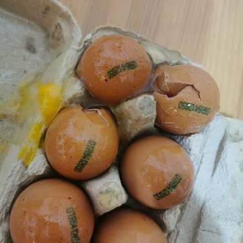 Migros Hemen: Kırık Yumurtalar Ve İletişim Sorunları