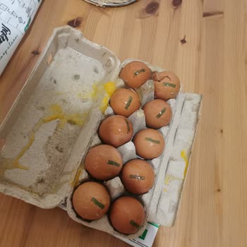 Migros Hemen: Kırık Yumurtalar Ve İletişim Sorunları