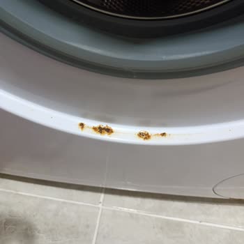 Vestel Çamaşır Makinesinde Paslanma Sorunu