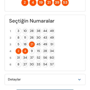 Süper Loto Uygulamasında Kazanç Hatası