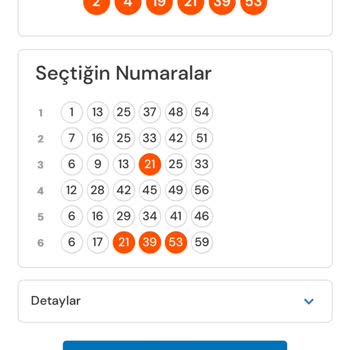 Süper Loto Uygulamasında Kazanç Hatası