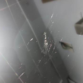 Kırık TV Ve Yetersiz Müşteri Hizmetleri Deneyimi