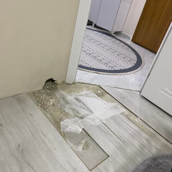 Eksper İletişimsizliği Ve Müşteri Mağduriyeti