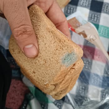 A101'den Aldığım Ekmek Hızla Küflendi Ve İletişim Kurulamıyor