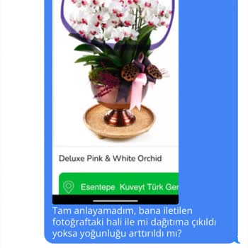 Tazecicek.com'dan Beklenmeyen Orkide Hayal Kırıklığı