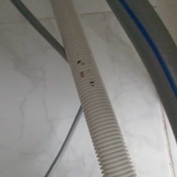 Teşhir Ürünleri Ve İlgisiz Mağaza Yönetimi