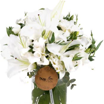 Taze Çiçek | Tazecicek.com Yanıltıcı Çiçek Siparişi Ve Yetersiz Müşteri Hizmetleri