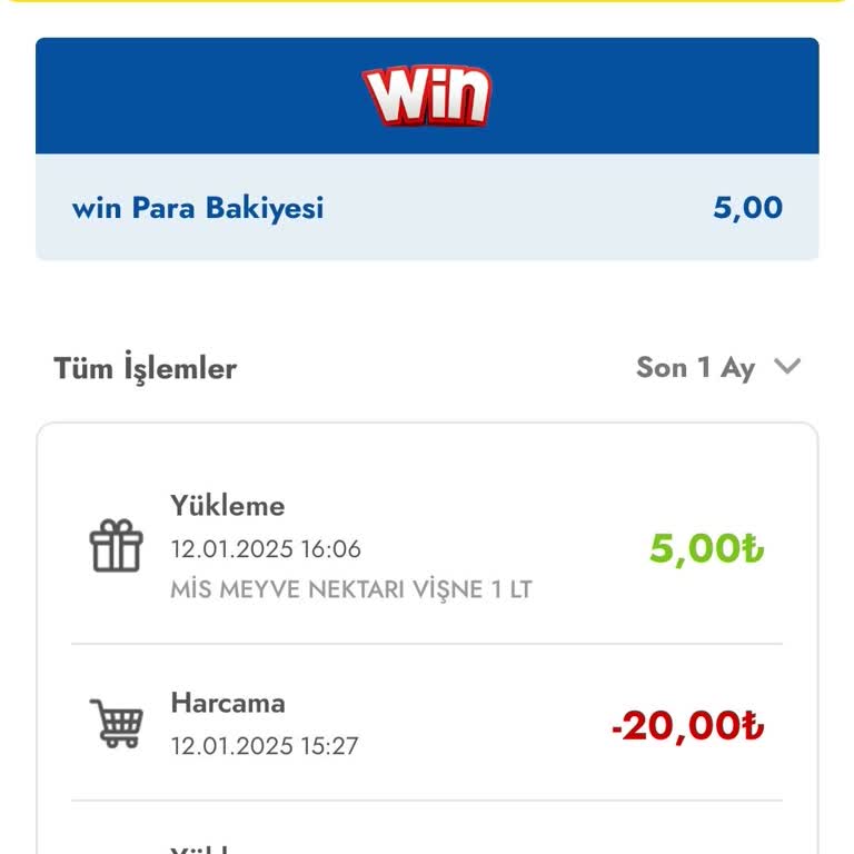 Win Puan Kullanımında Yaşanan Hata Ve Geri Yükleme Talebi