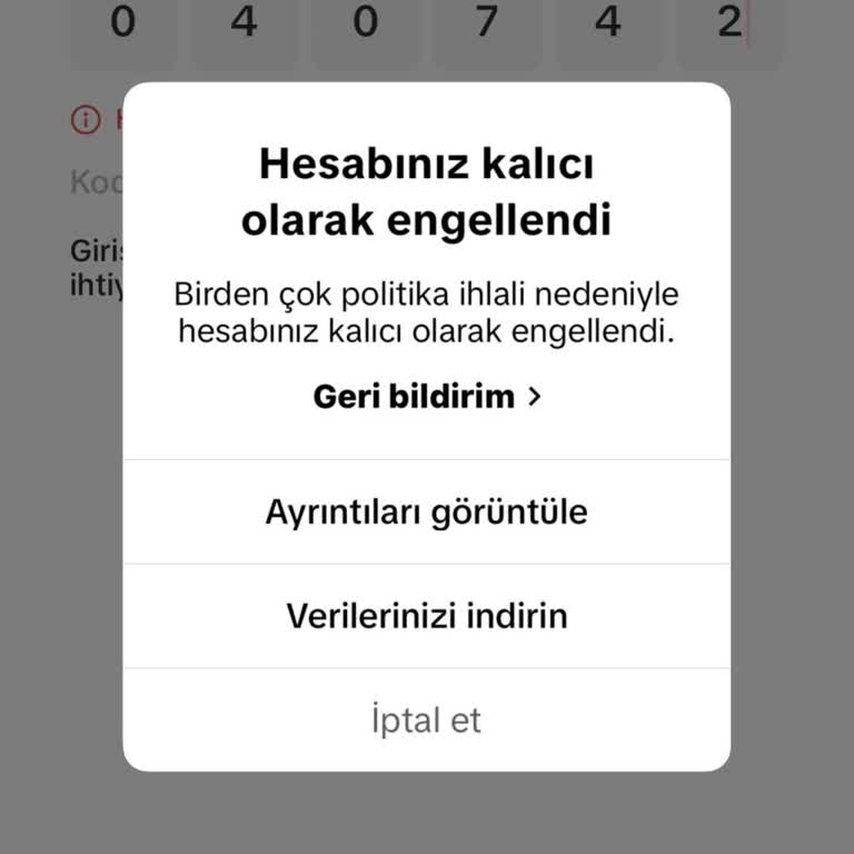 TikTok Hesabım Haksız Yere Kalıcı Olarak Engellendi
