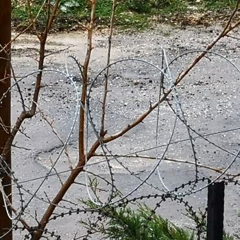 Uzun Süreli Sokak Lambası Ve Yol Sorunu