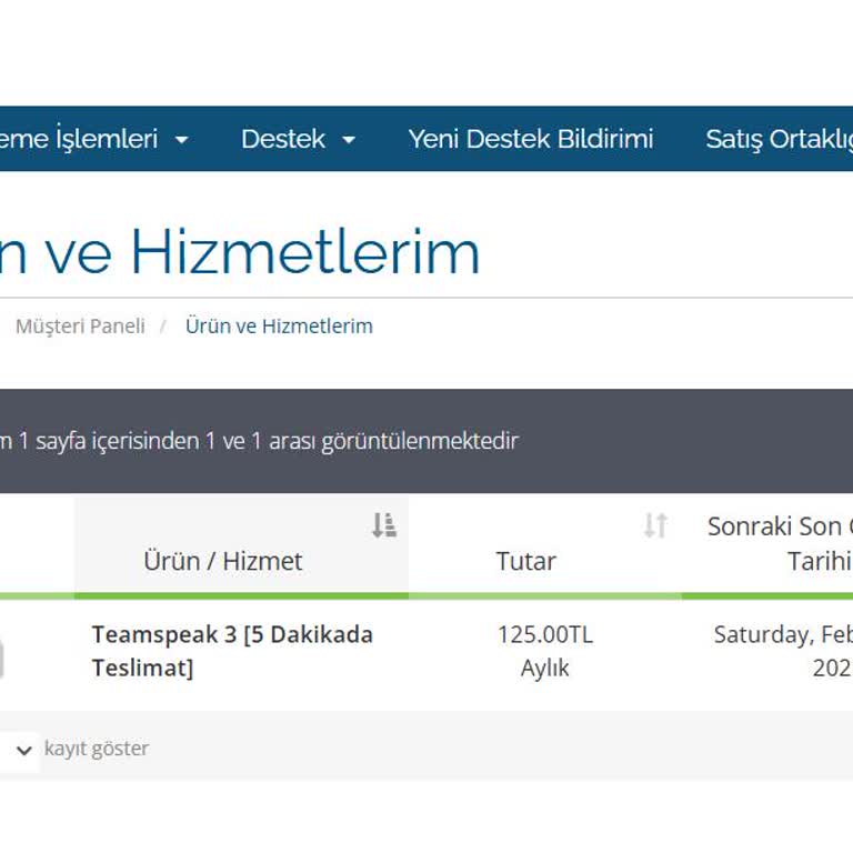 Ödenen Sunucu Hizmeti Hala Beklemede, Destek Ekibi Ulaşılamaz