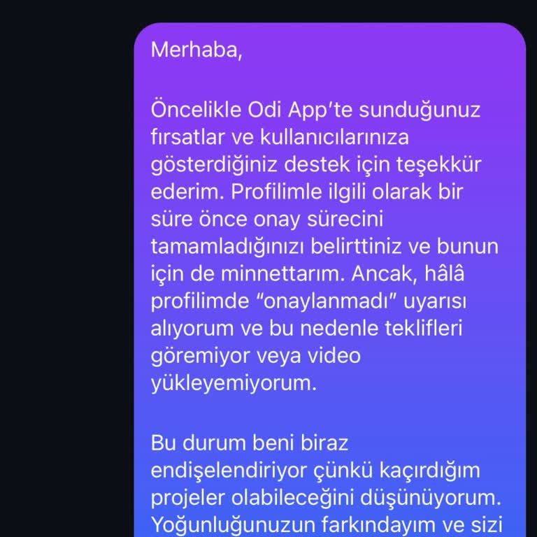 Uygulama Sorunları Nedeniyle Kaybedilen Projeler Ve Profil Onayı Engeli