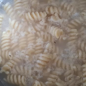Pastavilla Makarnada Böcek Şoku: Sağlık Tehlikesi!