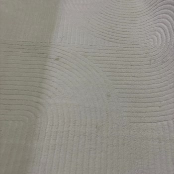 Halı Temizliğinde Büyük Hayal Kırıklığı