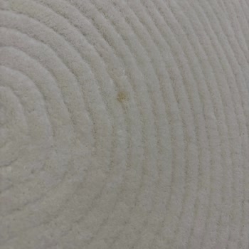 Halı Temizliğinde Büyük Hayal Kırıklığı