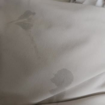 Altus Çamaşır Makinesi Sorunu: Lekeli Kıyafetler Ve Yetersiz Destek