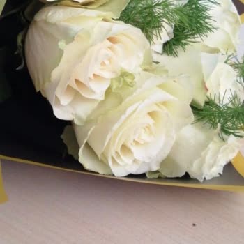 Geciken Teslimat Ve Solmuş Güllerle Hayal Kırıklığı