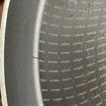 Tefal Krep Tavasında Beklenmedik Kaplama Sorunu