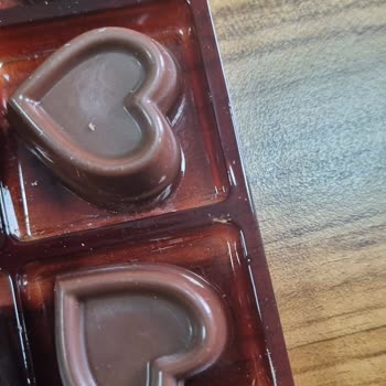 Bozuk Çikolata İle Gelen Karınca Sürprizi