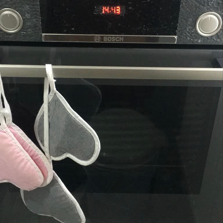 Bosch Ankastre Fırının Camı Patladı: Mağduriyet Ve Yüksek Servis Ücreti