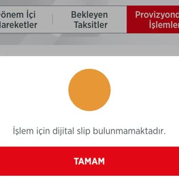 İzinsiz Kredi Kartı Ödemesi Ve Para İadesi Talebi