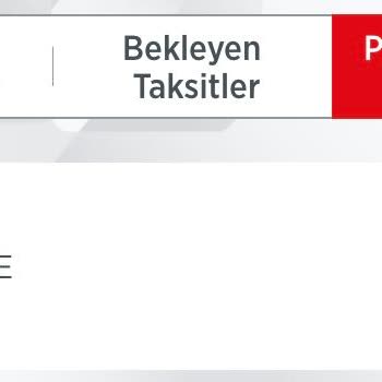 İzinsiz Kredi Kartı Ödemesi Ve Para İadesi Talebi