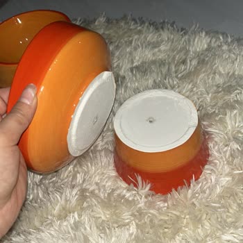 Kırık Mama Kabı Ve Ulaşılamayan Müşteri Hizmetleri