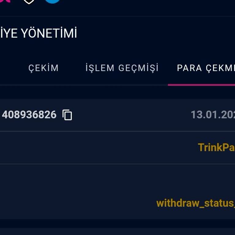 Çekim Talebi Onaylanmıyor: Bilgi Eksikliği Ve Ödeme Gecikmesi