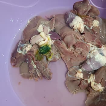 Lezita Tavuk Ciğeri Mağduriyeti: Yeşil Ve Siyah Parçalar