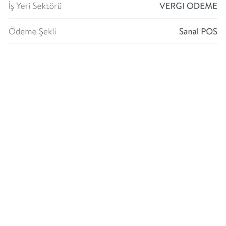 Ödenmiş Trafik Cezalarının E-devlette Görünmesi Sorunu