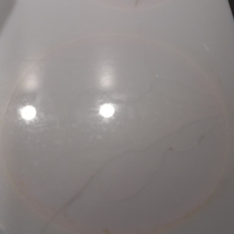 Bosch Cam Ocak Çatlama Sorunu Ve Güven Kaybı