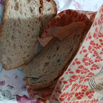 BİM'den Alınan Küflü Ekmek Şoku